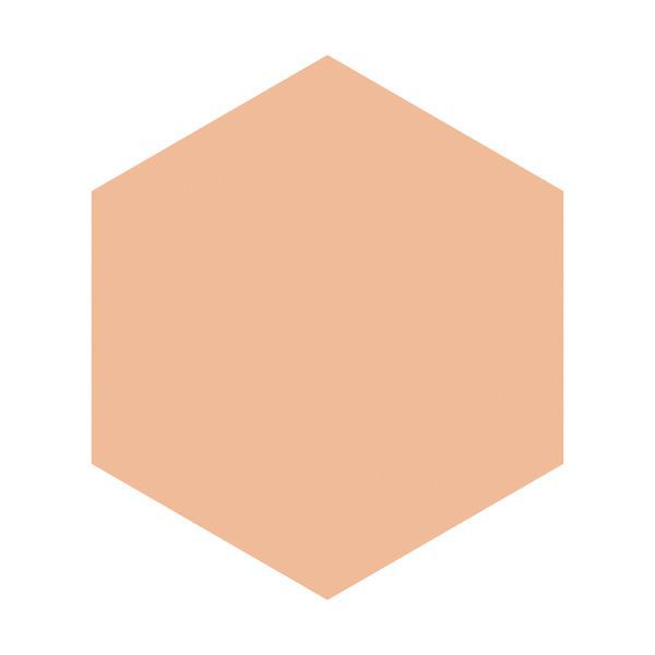 グレイシィ】モイストパクトEXの通販【使用感・口コミ付】 | NOIN(ノイン)