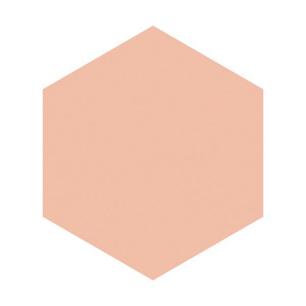 グレイシィ】モイストパクトEXの通販【使用感・口コミ付】 | NOIN(ノイン)