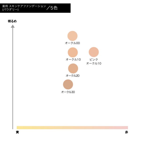 d プログラム】薬用 スキンケアファンデーション(パウダリー)の通販【使用感・口コミ付】 | NOIN(ノイン)