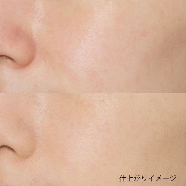 do natural】シームレス パウダー ファンデーションの通販【使用感・口コミ付】 | NOIN(ノイン)