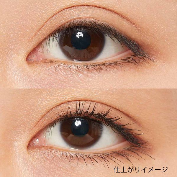 【D-UP】パーフェクトエクステンションマスカラ for カールの通販【使用感・口コミ付】 | NOIN(ノイン)