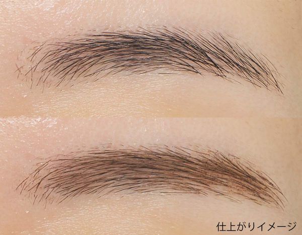 セザンヌ】アイブロウマスカラの通販【使用感・口コミ付】 | NOIN(ノイン)