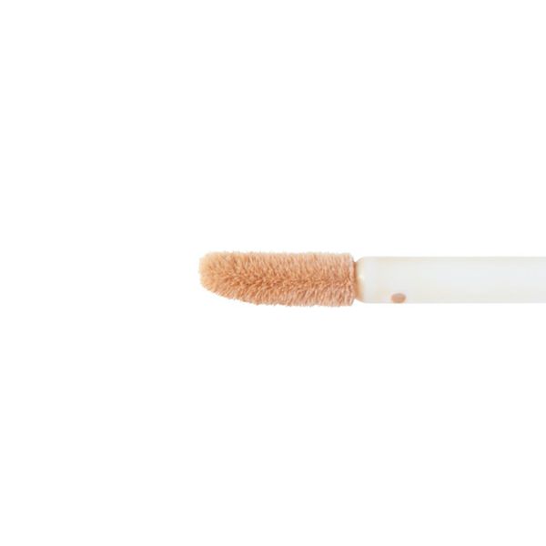 MISSHA(ミシャ)『ザ コンシーラー No.21 明るい肌色』の使用感をレポに関する画像14