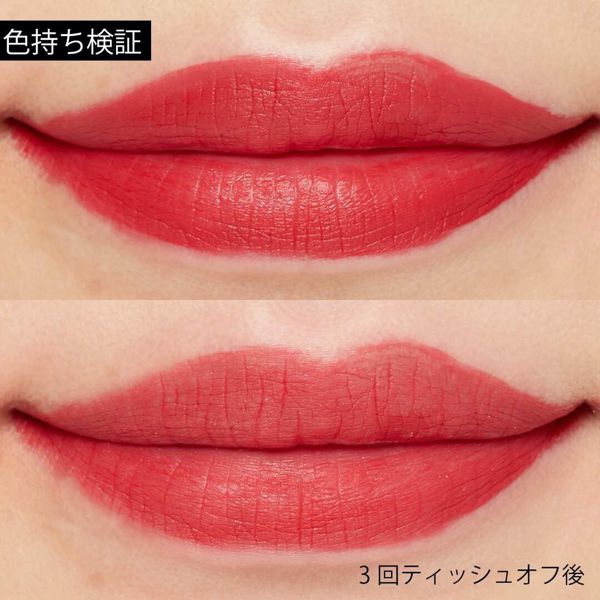 マットティントはまかせて!マットティントレザー 01 プライベートをレポに関する画像5