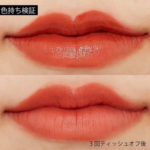 MERZY (マージー)『バイト ザ ビート メロウティント M3 スパイス ブリック』の使用感をレポ!に関する画像8