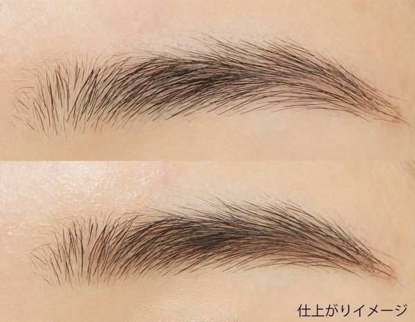 セザンヌ『パウダリーアイブロウ P2 ナチュラルブラウン』の使用感をレポに関する画像11