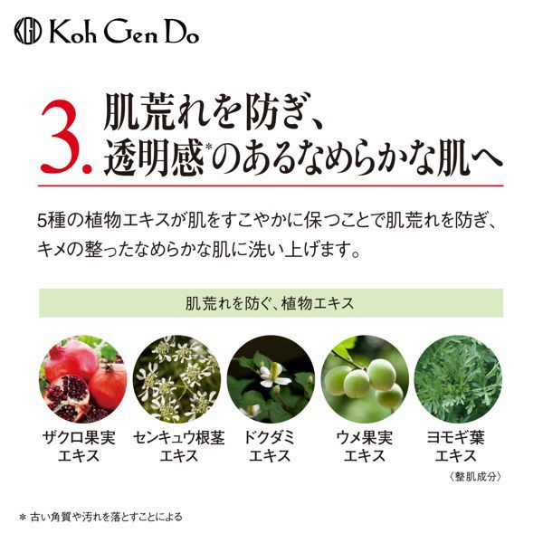 肌の汚れや角質すっきり!江原道のオリエンタルプランツ フェイシャルウォッシュをご紹介に関する画像9