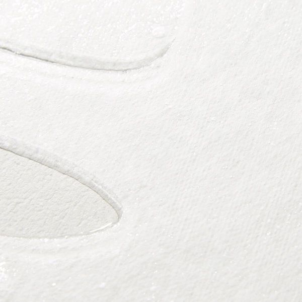 VT Cosmetics(ブイティ コスメティック)『シカ 水分マスク』の使用感をレポに関する画像10
