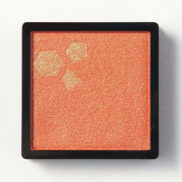 MAQuillAGE(マキアージュ)『【NOIN限定セット】マキアージュ ドラマティックアイカラー』の使用感をレポ!に関する画像19