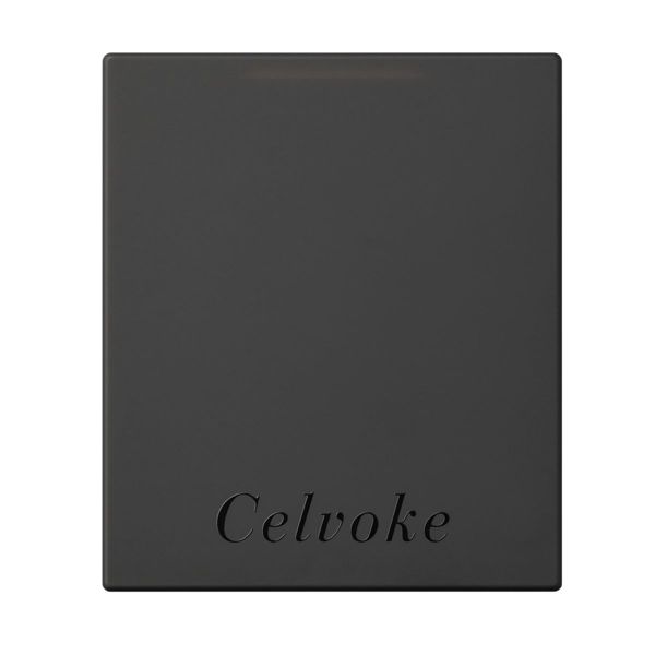 Celvoke(セルヴォーク)『カスタムパレット』の使用感をレポに関する画像1