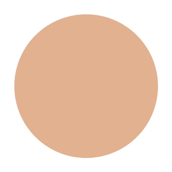 ひと塗りで明るい肌に仕上げる、ELIXIR(エリクシール)『リフティングモイスチャーパクト UV オークル20』の使用感をレポに関する画像4