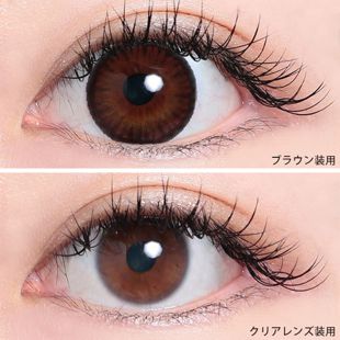 ポニーパレット ポニーパレット ワンデー ブラウン 10枚 ±0.00 DIA 14.2mm BC 8.6mm の画像 1