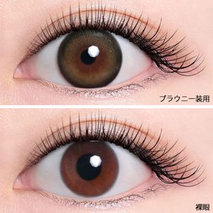ポニーパレット ポニーパレット マンスリー ブラウニー 2枚 ±0.00 DIA 14.5mm BC 8.6mm の画像 2