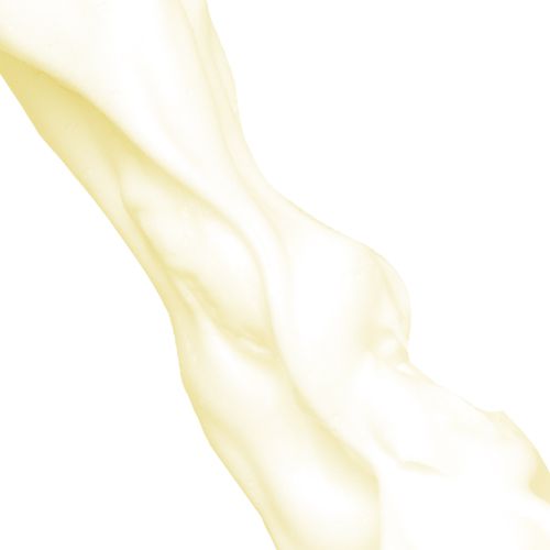 モッチスキン 吸着泡洗顔 FL レモン【数量限定】 150g の画像 5