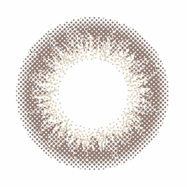 envieのアンヴィ ワンデー 10枚/箱 (度なし) シャンパングレイに関するメイン画像