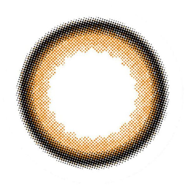 envieのアンヴィ ワンデー 30枚/箱 (度なし) シャモーブラウンに関するメイン画像