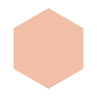 グレイシィ モイストパクトEX ピンクオークル10 赤みよりで明るめの肌色 11g【レフィル】 SPF22 PA++ の画像 2