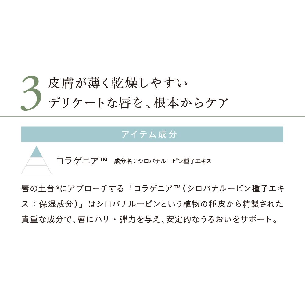 日本全国 送料無料 ナチュラグラッセ 公式 トリートメント リップオイル モア 01 ピーチ www.gaviao.ba.gov.br