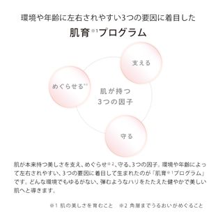 リファ リファビューテック レイズ ホワイト 【お一人様1点まで】 の画像 2