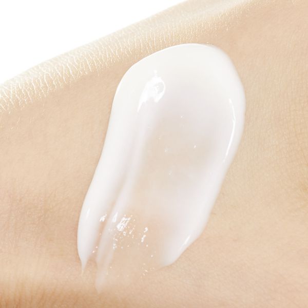 ちふれ エッセンシャルクリーム 30gの通販 使用感 口コミ付 Noin ノイン ちふれ エッセンシャルクリーム 30gの通販 使用感 口コミ付 Noin ノイン
