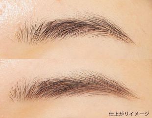セザンヌ パウダーアイブロウ R ブラウン の画像 2
