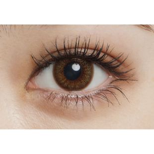 ファッショニスタ Fashionista ワンデー シアーアンバー 10枚 ±0.00 DIA 14.2mm BC 8.7mm の画像 2