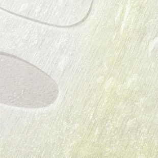 HAYEJIN コドゥル オブ ティーツリーグリーン カミングシートマスクパック 25ml×5枚 の画像 3