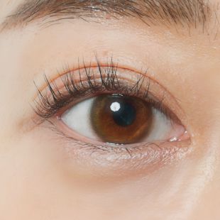 BELLSiQUE ベルシーク ワンデー UV ルースヘーゼル 10枚 ±0.00 DIA 14.2mm BC 8.6mm の画像 2