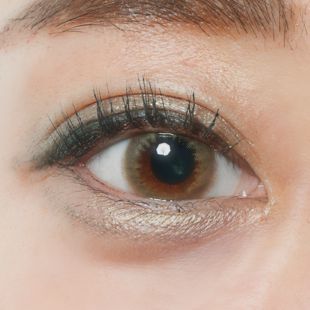 BELLSiQUE ベルシーク ワンデー UV カーキブレンダー 10枚 ±0.00 DIA 14.2mm BC 8.6mm の画像 2