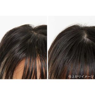 フジコ FPPパウダー 8.5g の画像 1