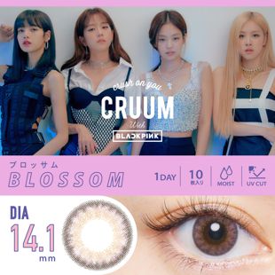 CRUUM クルーム ワンデー ブロッサム 10枚 ±0.00 DIA 14.1mm BC 8.6mm の画像 0