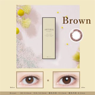 アーティラル アーティラル UV&MOIST ワンデー ブラウン 10枚 ±0.00 DIA 14.0mm BC 8.6mmの画像