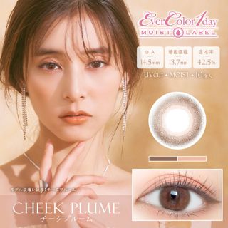 エバーカラー エバーカラーワンデー モイストレーベル チークプルーム 10枚 ±0.00 DIA 14.5mm BC 8.7mmの画像