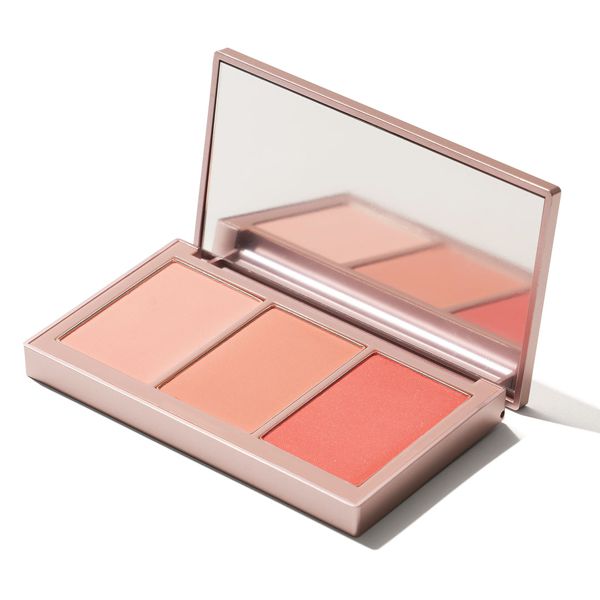 Vt Cosmetics スーパーテェンプティングチークパレット 02 フォーエバーヤング 13 5gの通販 使用感 口コミ付 Noin ノイン