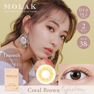 MOLAK MOLAK ワンマンス コーラルブラウン 2枚 ±0.00 DIA 14.2mm BC 8.6mmの画像