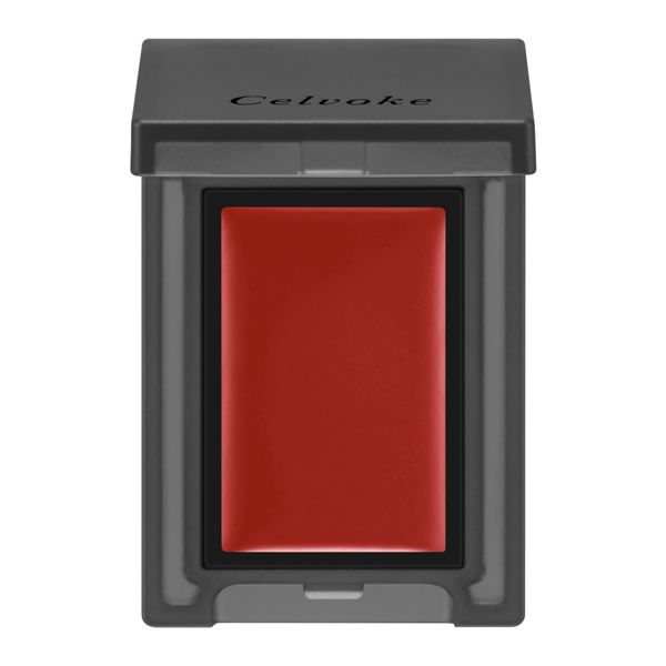 セルヴォークのヴォランタリー アイズ 25 レンガ(クリームタイプ) 10g未満に関する画像1