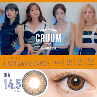 CRUUM クルーム ワンデー シャンパン 10枚 ±0.00 DIA 14.5mm BC 8.6mmの画像