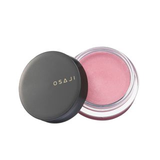 OSAJI ニュアンス フェイスカラー 03 追憶 5.5gの画像