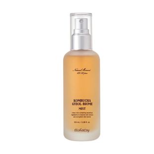 エリシャコイ コンブチャミスト 100ml の画像 0
