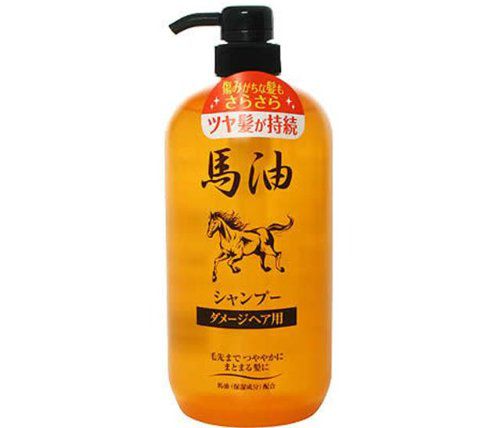 ジュン コスメティック ジュン コスメティック 馬油シャンプーn 1000mlの通販 使用感 口コミ付 Noin ノイン