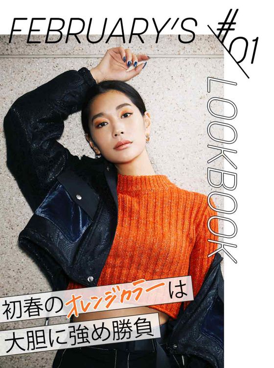 FEBRUARY'S LOOKBOOK vol.1