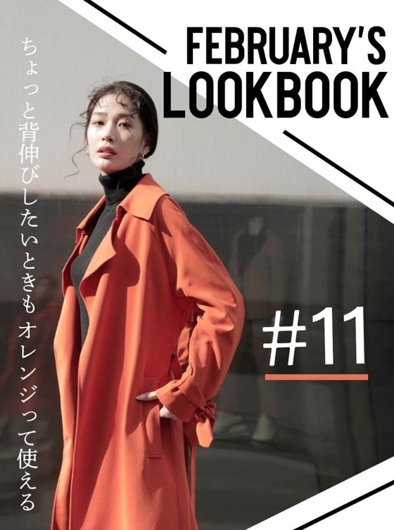 FEBRUARY'S LOOKBOOK vol.11