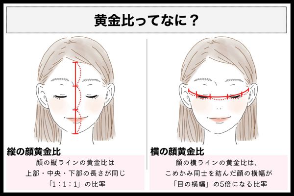 美人顔の黄金比って メイク術をおすすめアイテムと共にご紹介 Noin ノイン