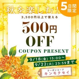 初回購入限定 最大50 ポイント還元キャンペーン Noin ノイン