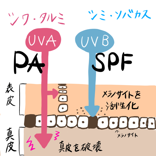 ヘアメイクEnaがおすすめ!紫外線カットレベルが高いのに肌に優しいUVカットアイテム5選の画像