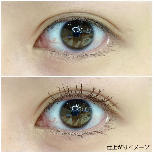 シスターアンのマスカラで目元を強調!全種類を徹底レポの画像